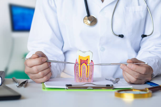 Best Emergency Cosmetic Dentistry in Boyne City, MI